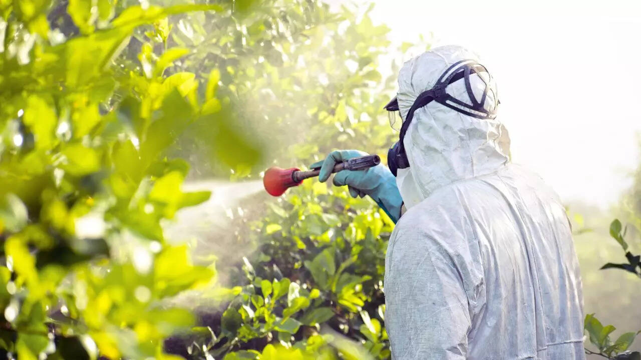 Pesticide Residue Research