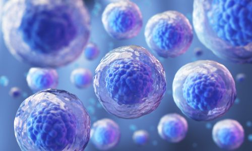 Stem Cell & Cell Reprogramming
