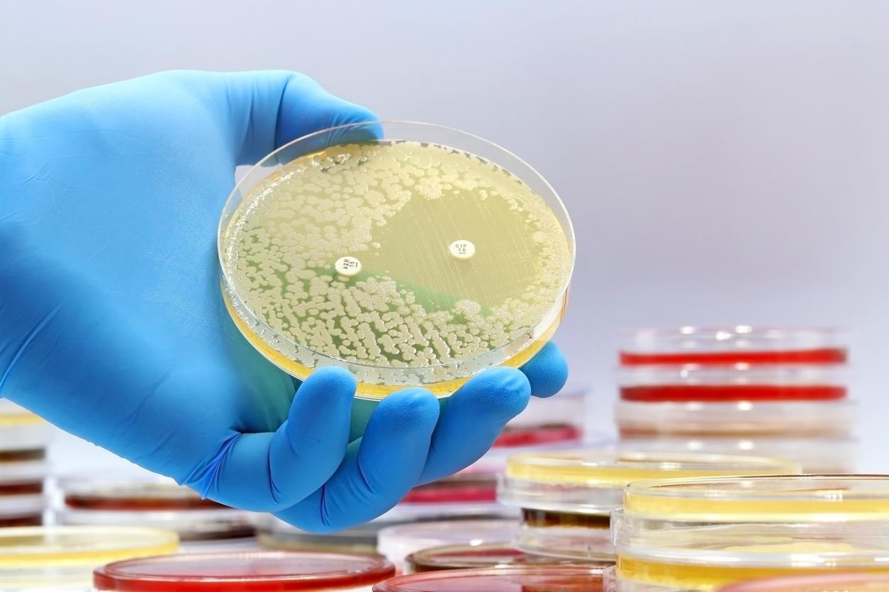 Antimicrobial Resistance
