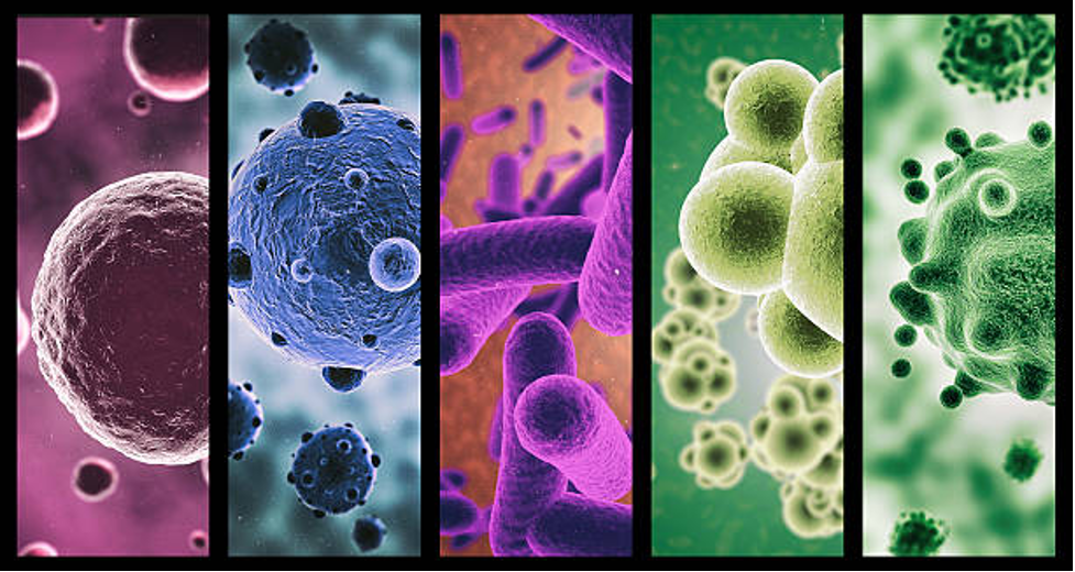 Emerging Microbes